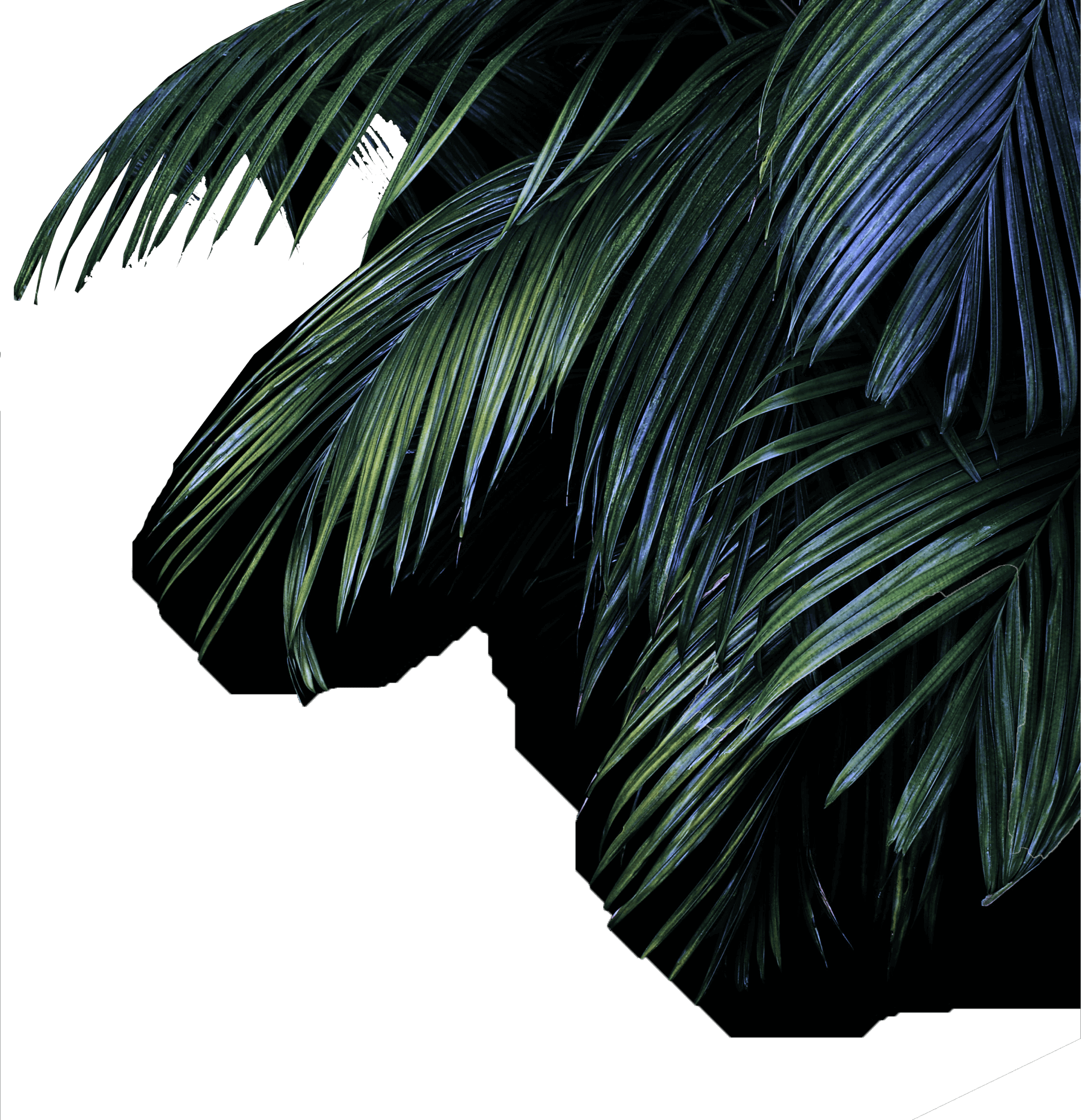 Summer (1900x1969), Png Download