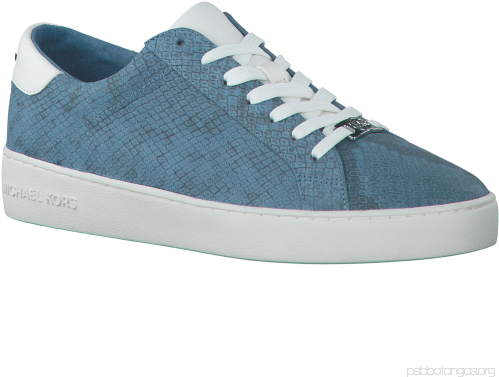 Skate Shoe (500x500), Png Download