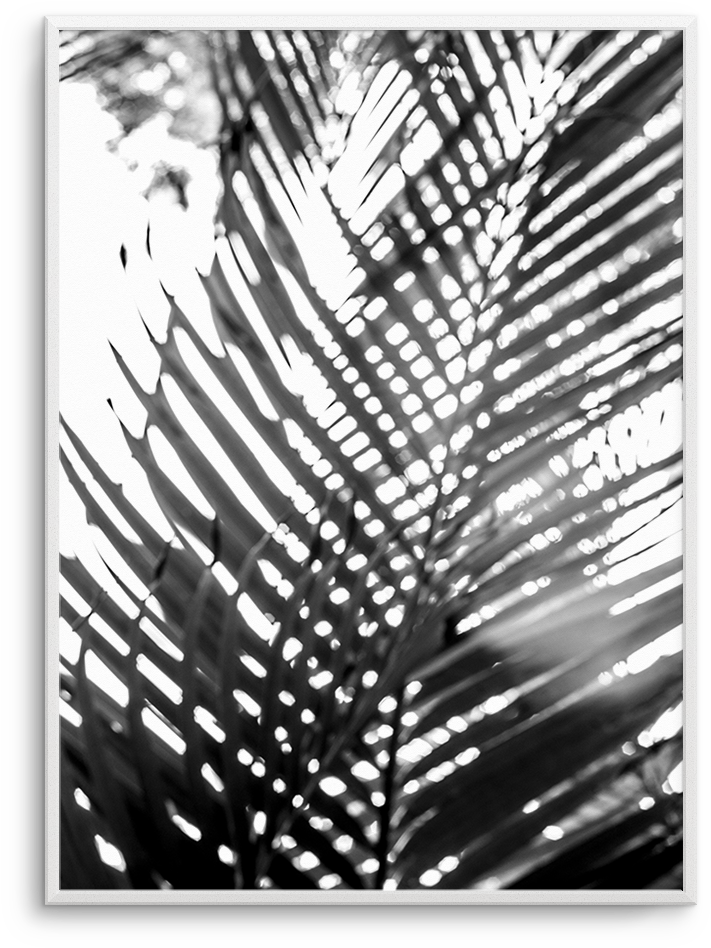 Blur - Photography (937x1181), Png Download