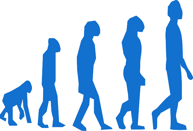 Los Primeros Dentistas De La Historia - Evolução Dos Seres Vivos (640x435), Png Download