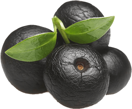 Nutrients Available In Acai Berries Acai Berries - Açaí Palm (600x500), Png Download