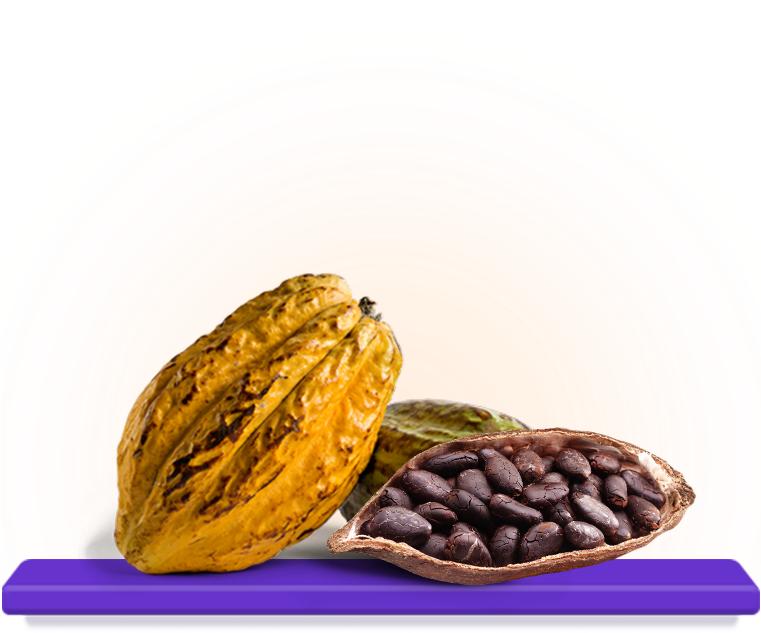 Wow Skin Revive Nectar Moisturiser - 300ml - Shea (760x760), Png Download