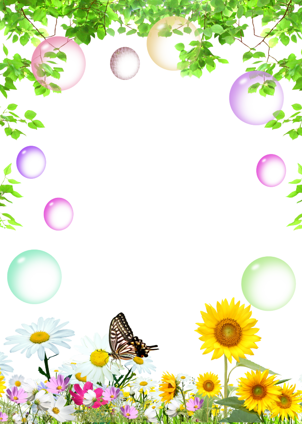 Camomile (620x870), Png Download