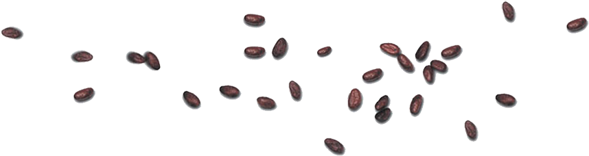 Rue Des Marsouins 2646 Treich Ville Abidjan - Amber (900x227), Png Download