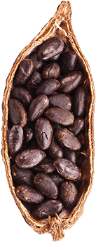 Cocoa - Peanut (350x350), Png Download