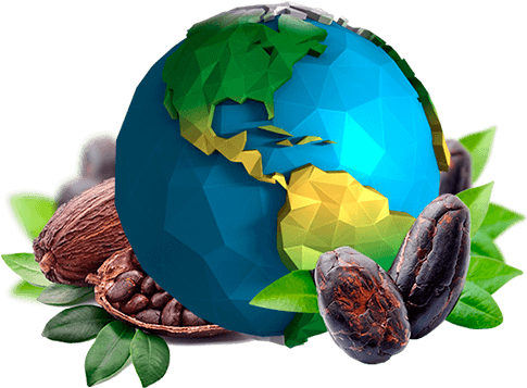 Our Main Sources Of Cocoa Beans Are Colombia, Ecuador, - Mesmara Raw Unrefined Cocoa Butter 50g (541x356), Png Download