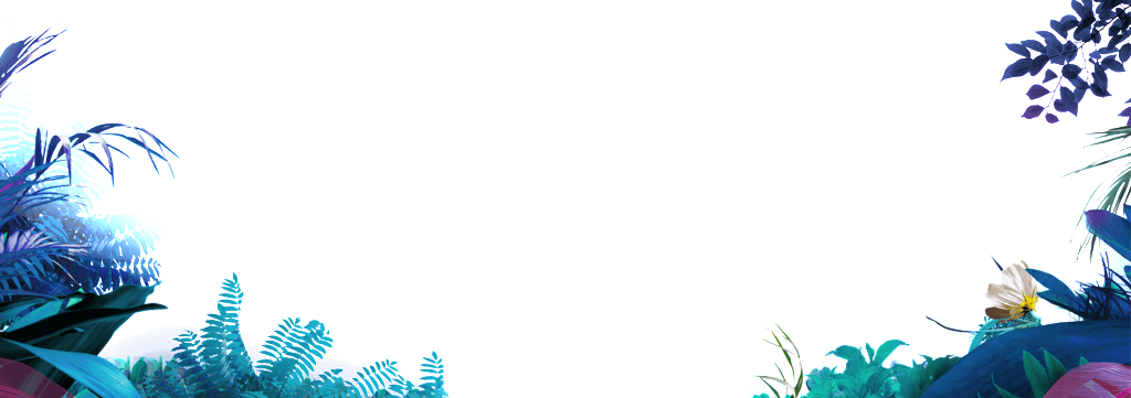 Forest Lush Plant Cartoon Transparent - Coco Background Png (1024x361), Png Download