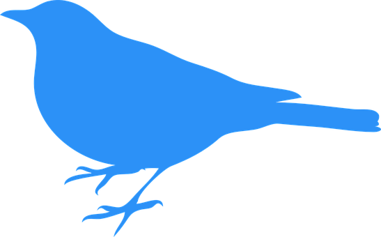 Bluebird Bird Animal Blue Wildlife Ornitho - Clip Art Blue Bird (547x340), Png Download