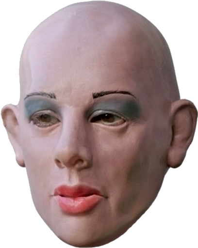 Realistic Masks Haloween Mask, Scary - Png Faccia (464x536), Png Download