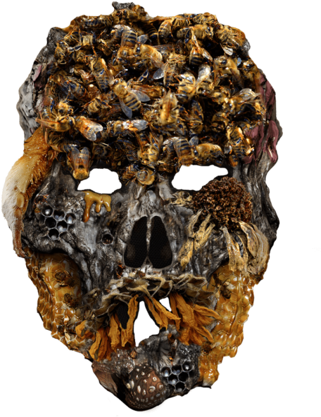 The Pesticide Mask Tackles The Issue Of Colony Collapse - Skull (500x633), Png Download