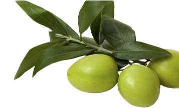 Aceituna - Lagunamoon Anti Cellulite Massage Oil 100% Natural (960x434), Png Download