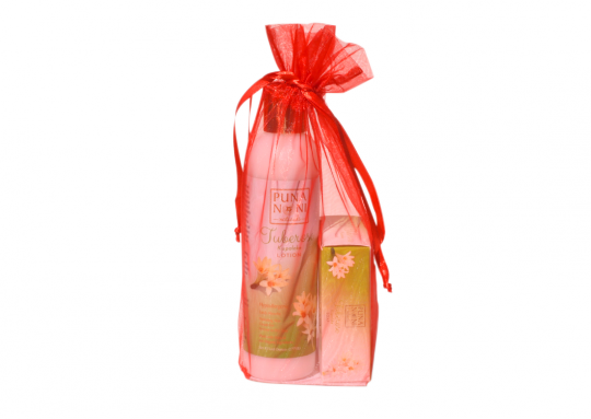 Lotion And Soap Gift Bag - Gift Wrapping (540x383), Png Download