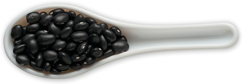Free Png Black Beans Png File Png Images Transparent - Black Beans Transparent Background (850x310), Png Download