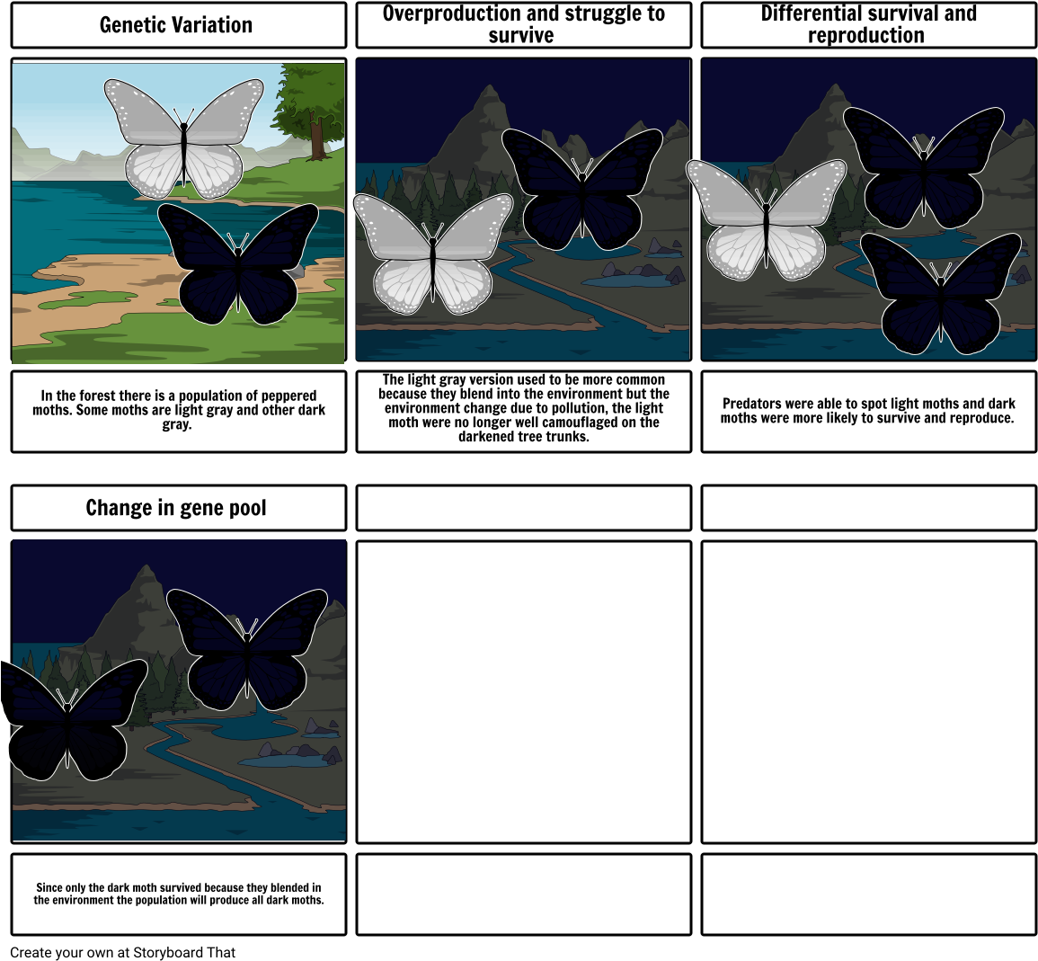 Natural S - Storyboard (1164x1086), Png Download