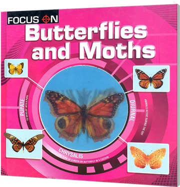 Picture Of Focus On - Lepidoptera (400x400), Png Download