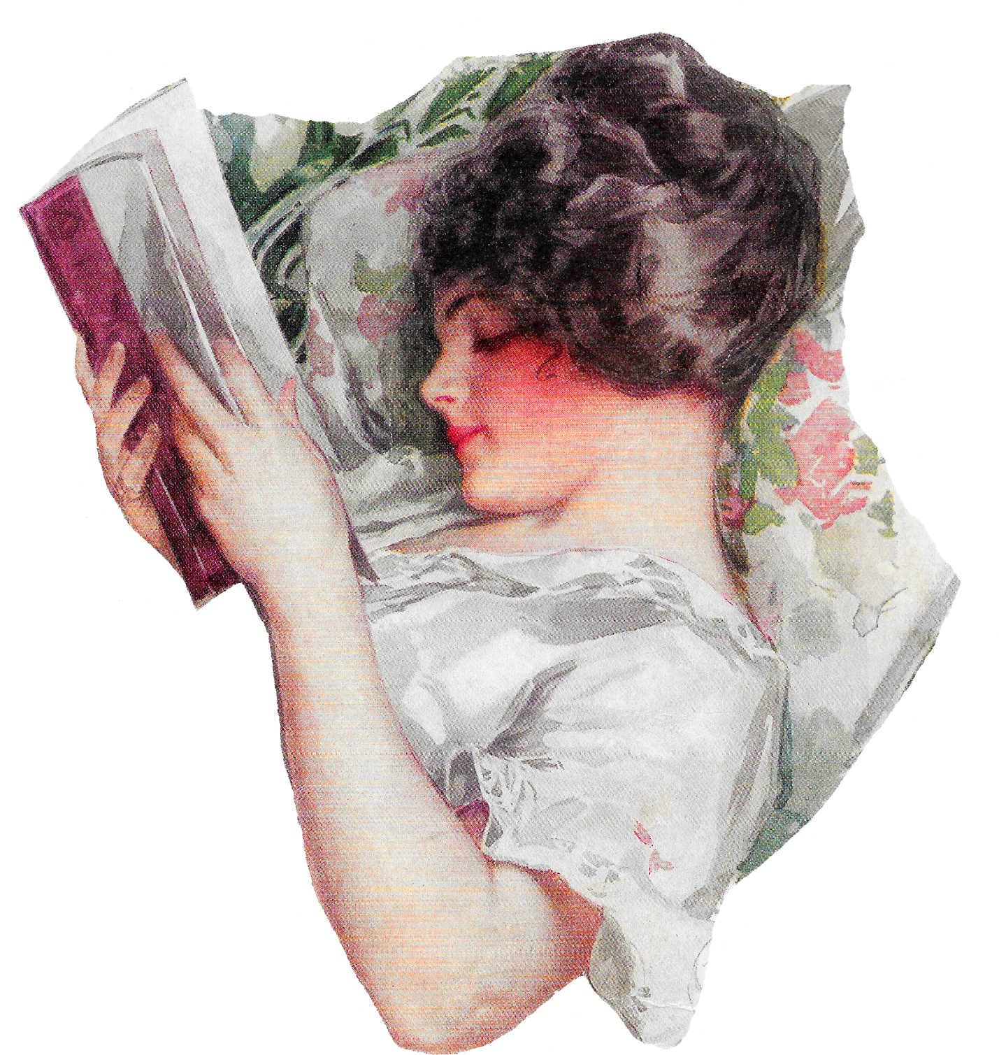 These Harrison Fisher Illustration Images Are Perfect - Harrison Fisher Illustrations (1515x1600), Png Download