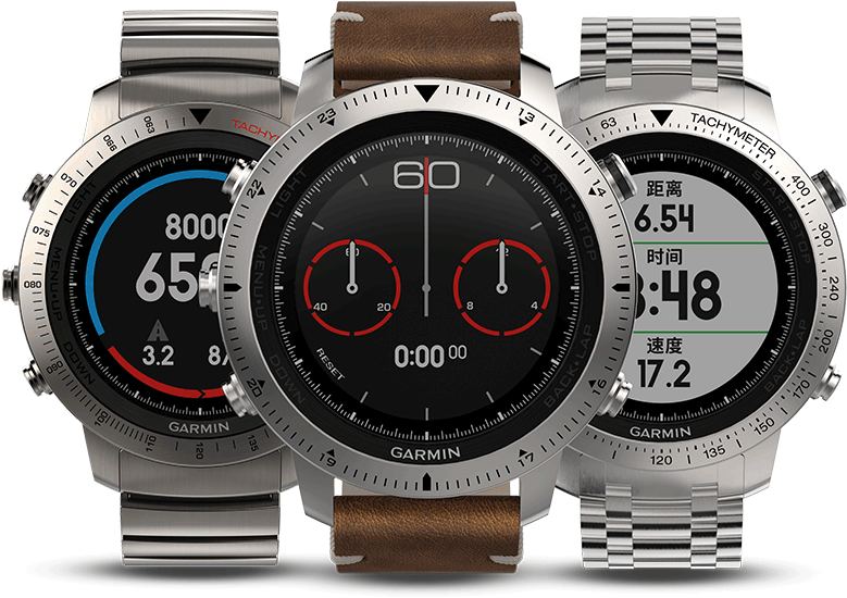 Garmin Garmin Fenix Chronos Cool Dragon Fly Time-resistant - Garmin Fenix Chronos Gps Watch With Brushed Stainless (800x800), Png Download