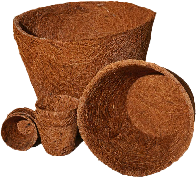 Coir Pot (800x595), Png Download