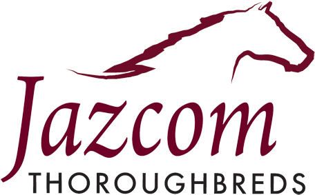 Jazcom Provides Horse Spelling And Rehabilitation, - Real Estate (500x317), Png Download