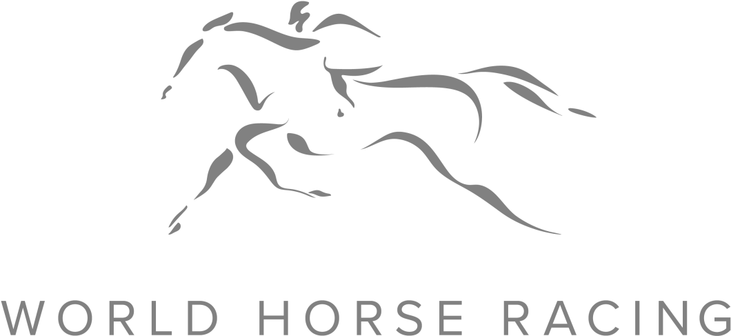 Horse Racing (1920x1358), Png Download