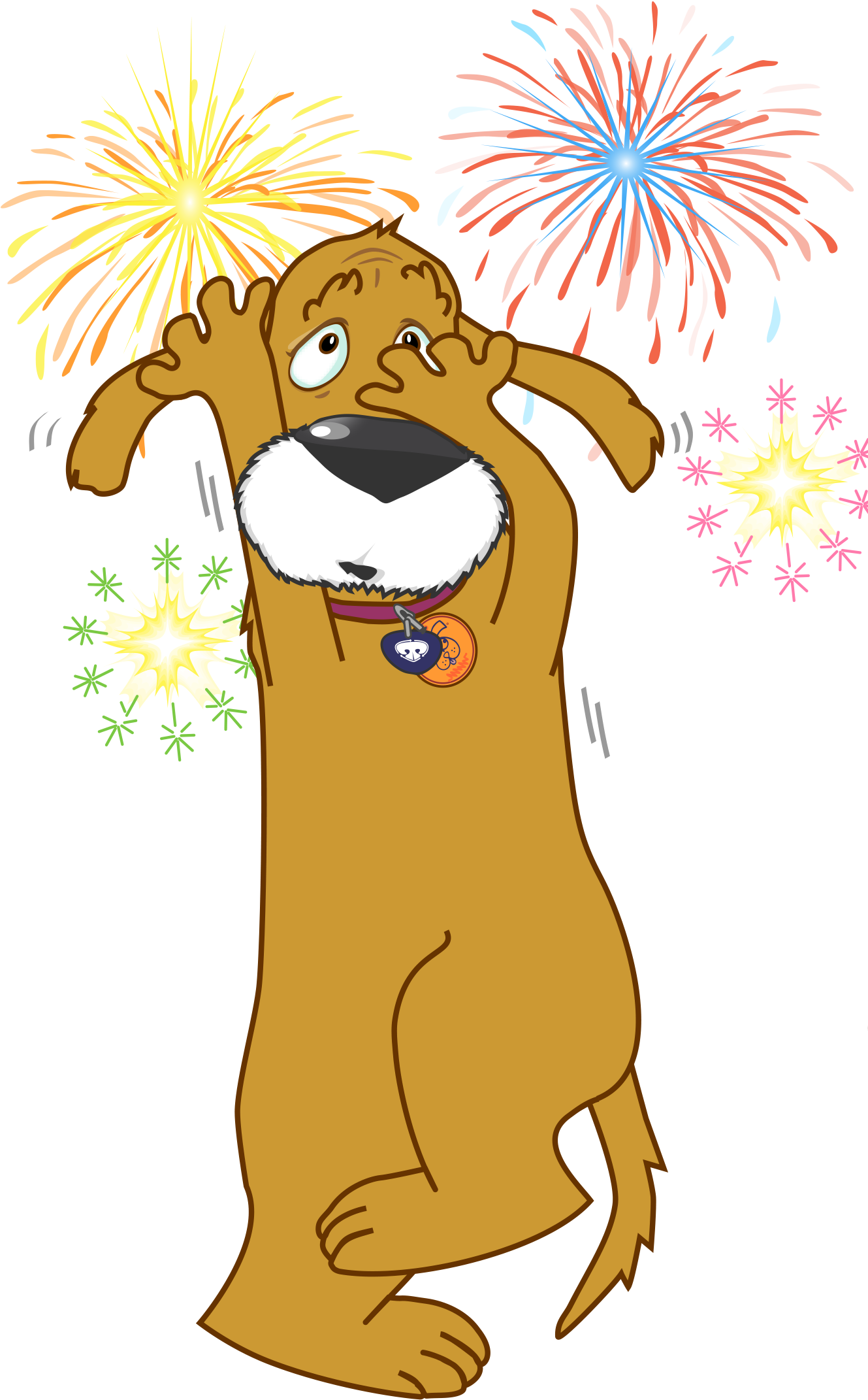 Riley Fireworks - Don T Fire Crackers (1328x2161), Png Download