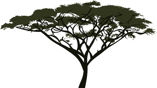 Submit - Acacia (543x304), Png Download