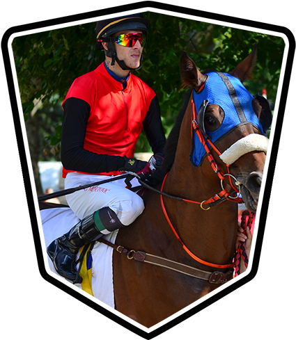 Gallop Horse Racing And Working Equipment & Accessories - Gallop (500x488), Png Download