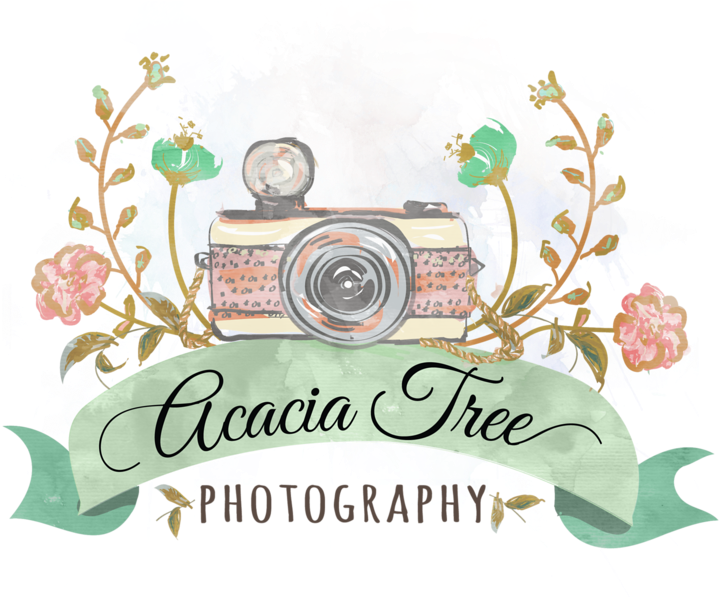 Acacia Tree Png (774x600), Png Download
