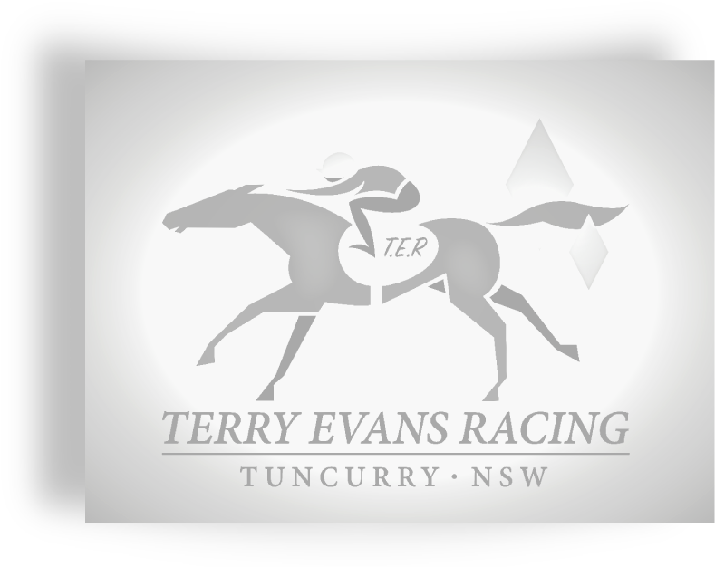 Terry Evans Platinum Club (880x626), Png Download