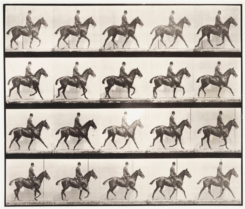 History Of Horse Racing (1903x802), Png Download