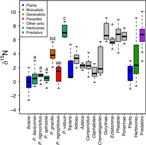 Bacterial Symbionts In Plant-ants - Diagram (498x525), Png Download