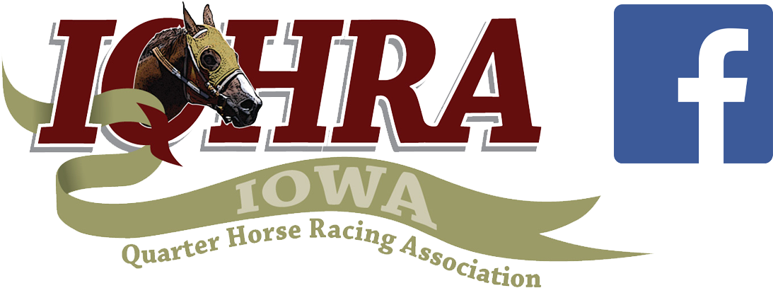 Facebook Header - Horse (1158x458), Png Download