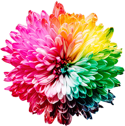 Single Mum With A Rainbow Of Colors - Importance Of Colour (450x445), Png Download