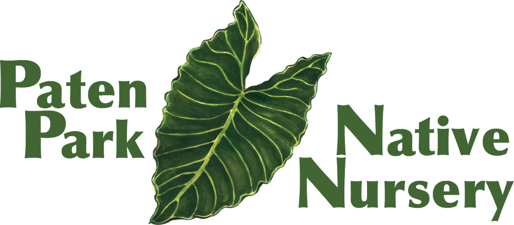 Paten Park Native Nursery (1000x438), Png Download