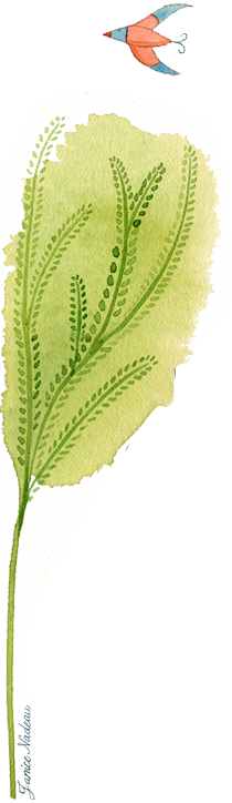 Illustrator (210x724), Png Download