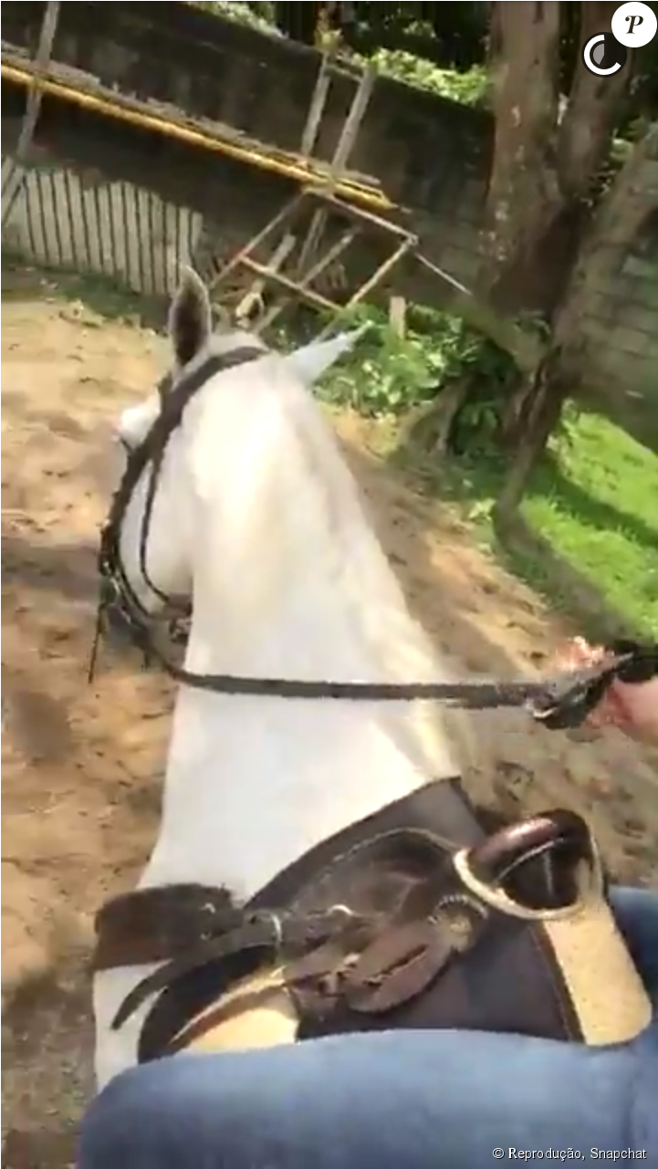 Atriz Fez Amizade Com Cavalo - Horse (950x1280), Png Download