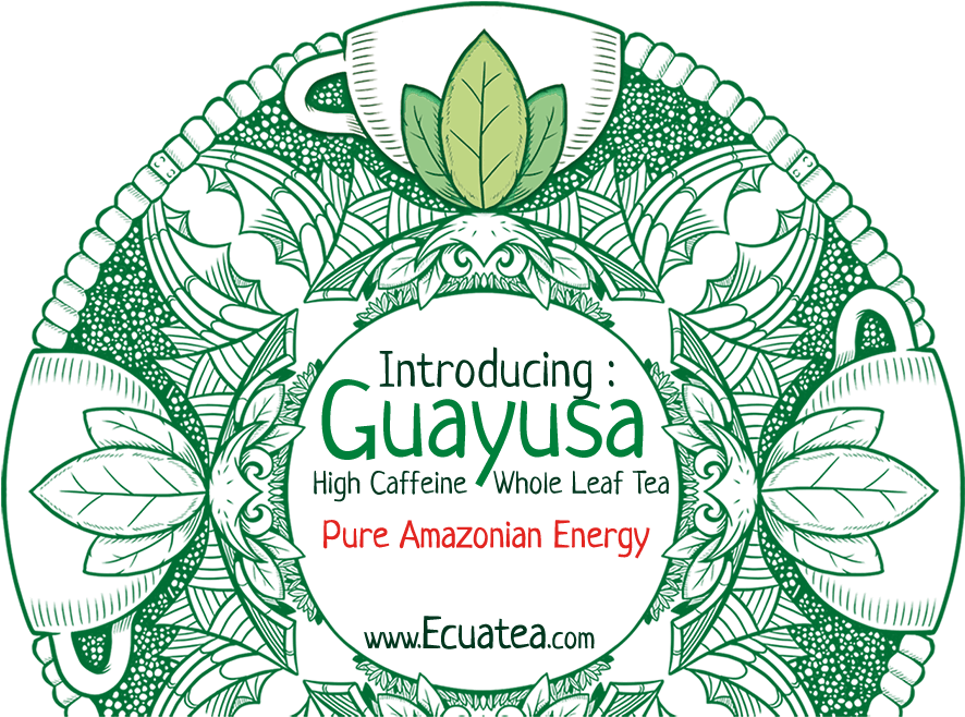 Join The Ecuateavolution - Ilex Guayusa (900x674), Png Download