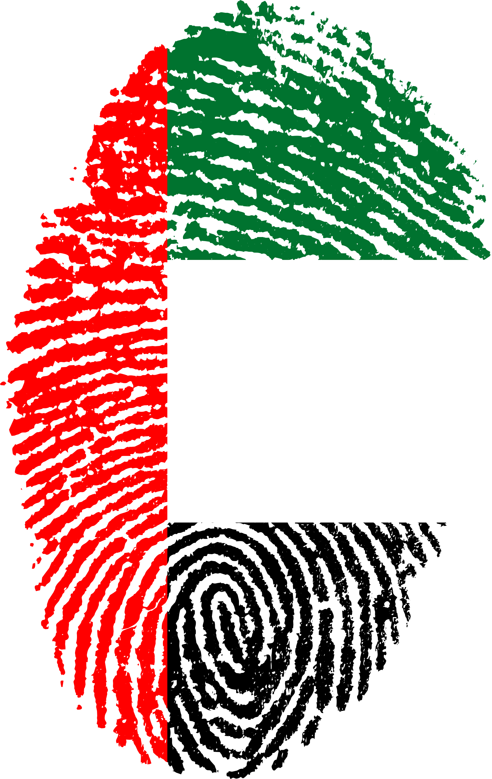 United Arab Emirates Flag 654787 - Uae Flag Fingerprint (1573x2488), Png Download
