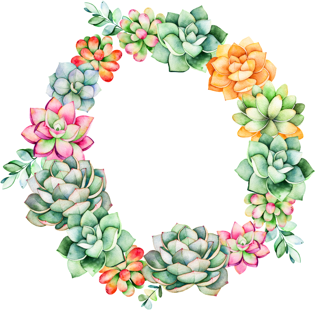 Succulent Garland Cartoon Transparent - Succulent Brooch Plant Jewerly Mint Succulent Wedding (1024x1011), Png Download