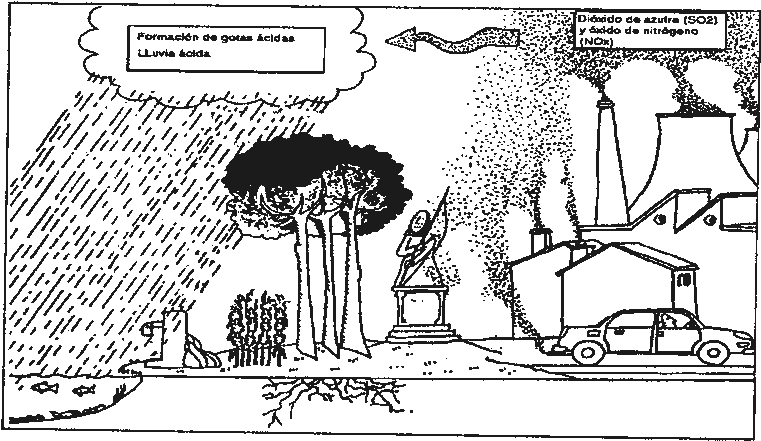 La Lluvia Acida - Lluvia Acida Para Colorear (770x447), Png Download