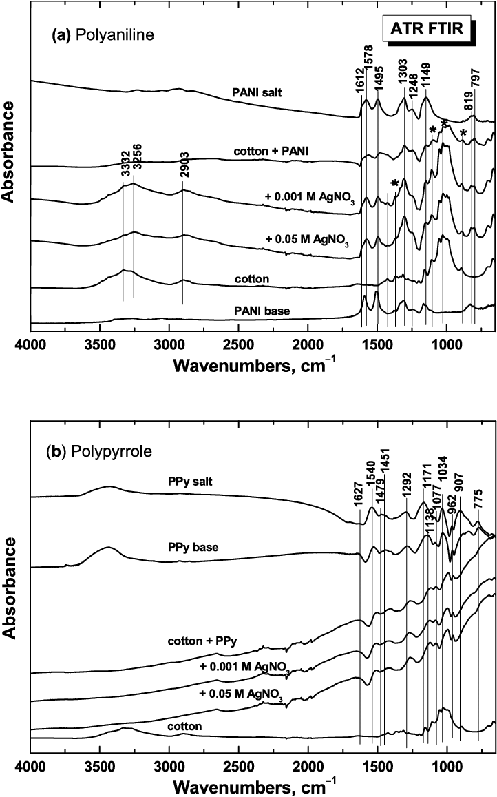 Atr Ftir Spectra Of Cotton Fabric Coated With A Polyaniline - Cotton (721x1172), Png Download