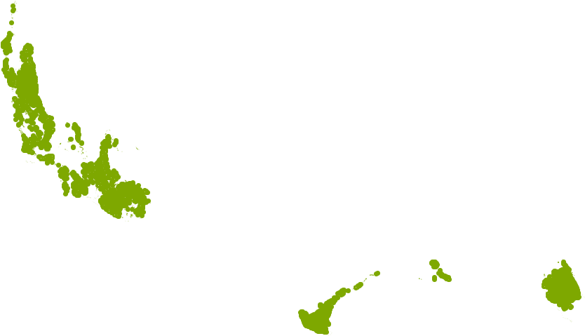 Berkmans Golden Arborvitae Grows Well In Zone 9b - Loropetalum (1000x661), Png Download