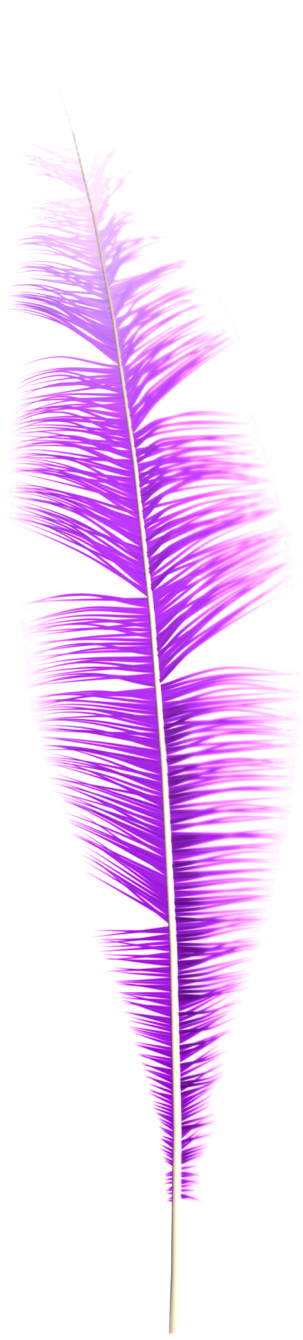 Dream Feather Png - Grass (1024x2048), Png Download