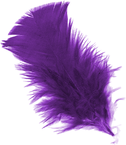 A Very Unique Virus - Portable Network Graphics (1024x1024), Png Download