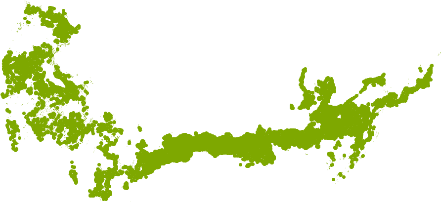 Fire Chief Arborvitae Grows Well In Zone 6a - Pattern (1000x661), Png Download