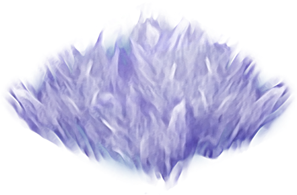 Purple Hairtuft Path - Purple (833x417), Png Download