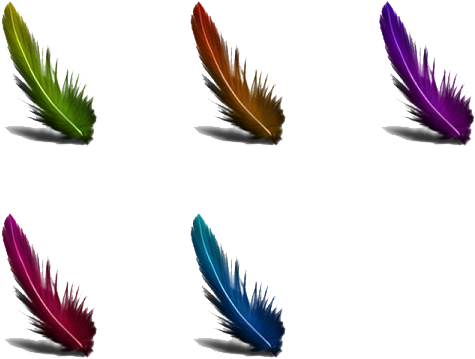 Feather - 羽毛 (600x450), Png Download