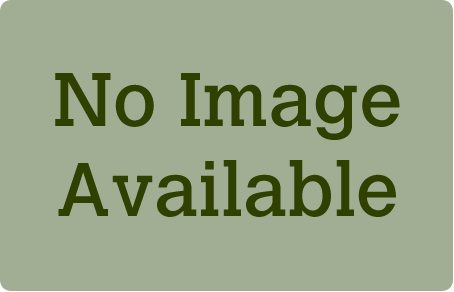 Thuja Occidentalis Nigra, Dark Green Arborvitae - Engage (454x292), Png Download