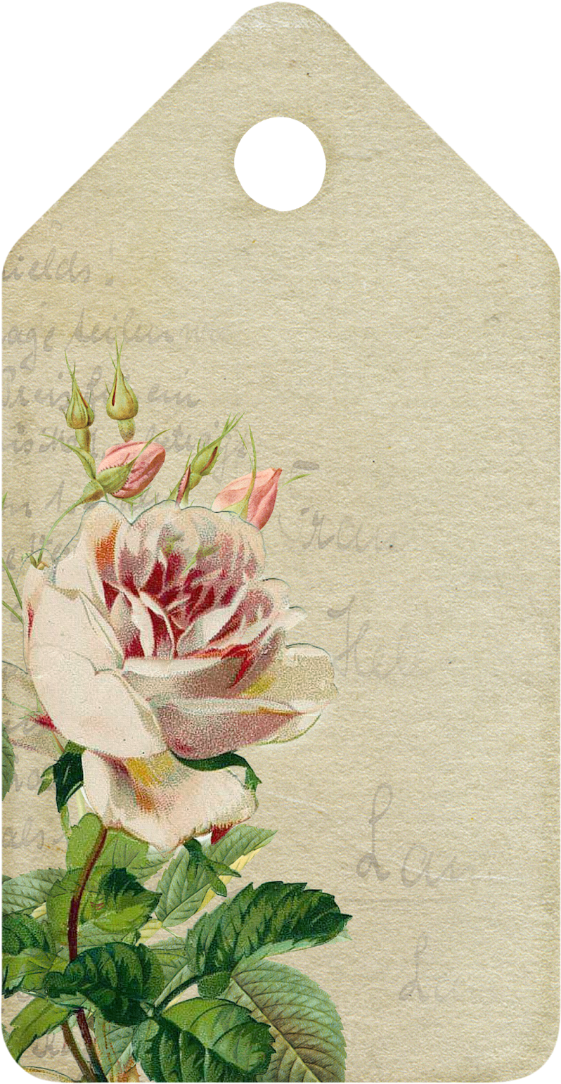 Espero Que Este Blog Te Est Siendo De Ayuda En La Organizacin - Etiquetas Para Boda Vintage (830x1600), Png Download