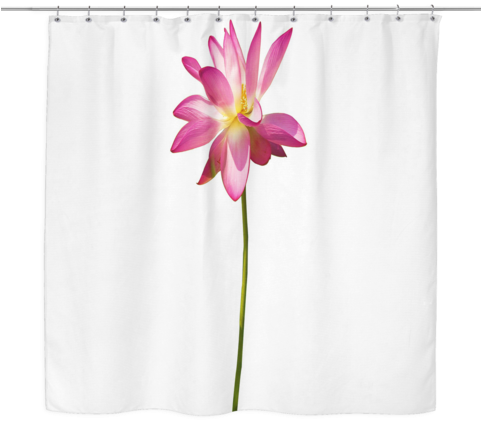 Pink Lotus Flower Curtains - Shower Curtains (480x480), Png Download